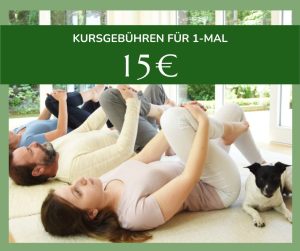 Feldenkrais Kursgebühr 1-mal