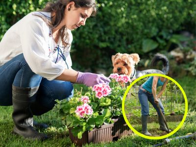 Leichter im Garten | Feldenkrais Intensivkurs